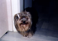 baby (da virna)
