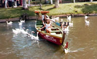 mais patinhos
